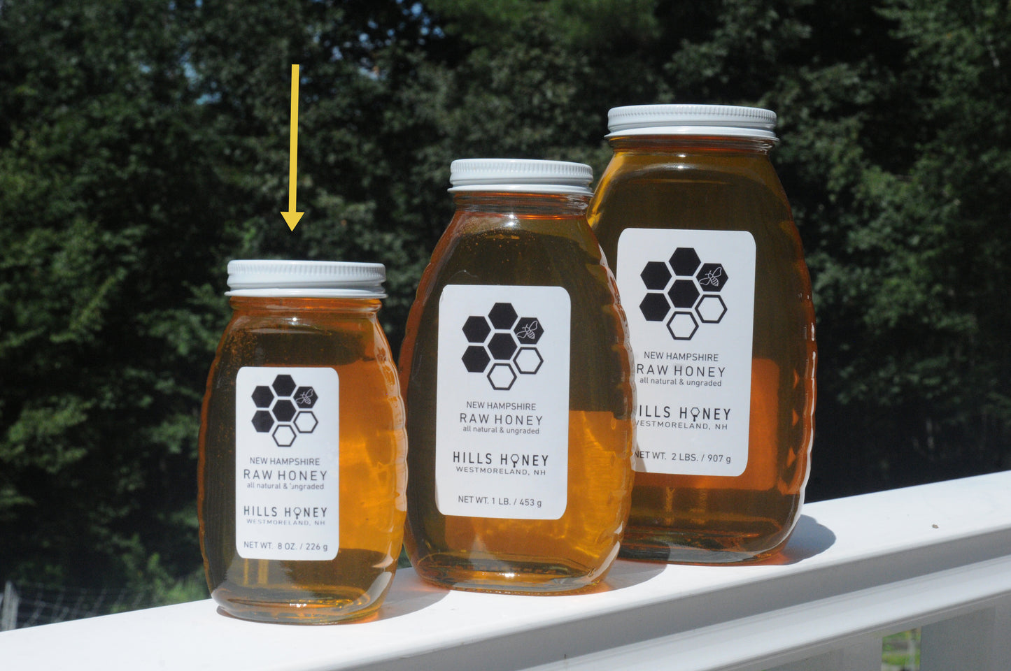 Hills Honey from Westmoreland, NH