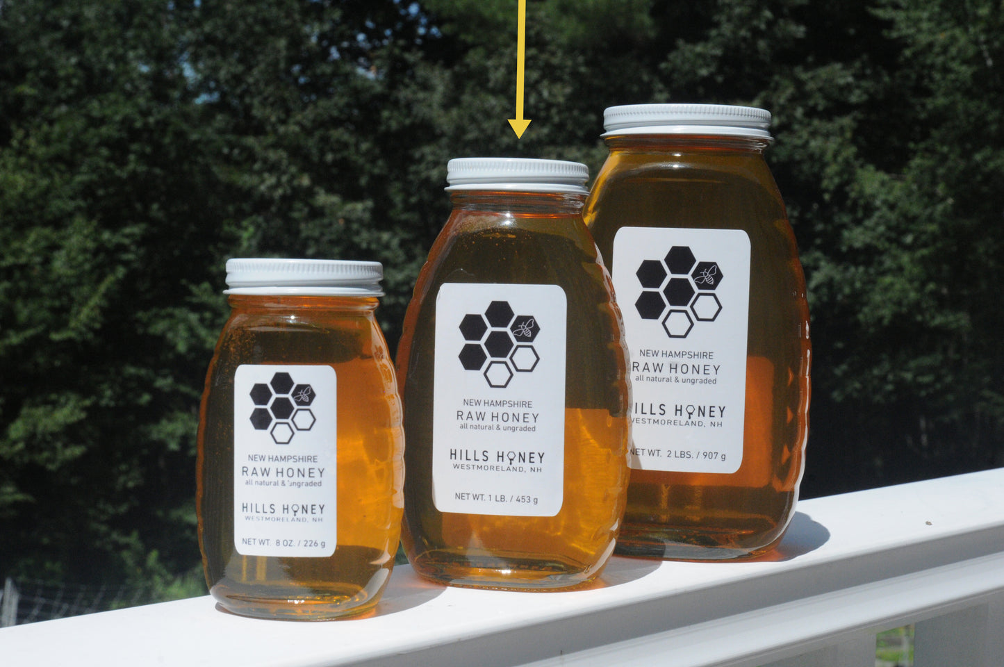 One Pound (16oz) Raw Honey - Glass Jar