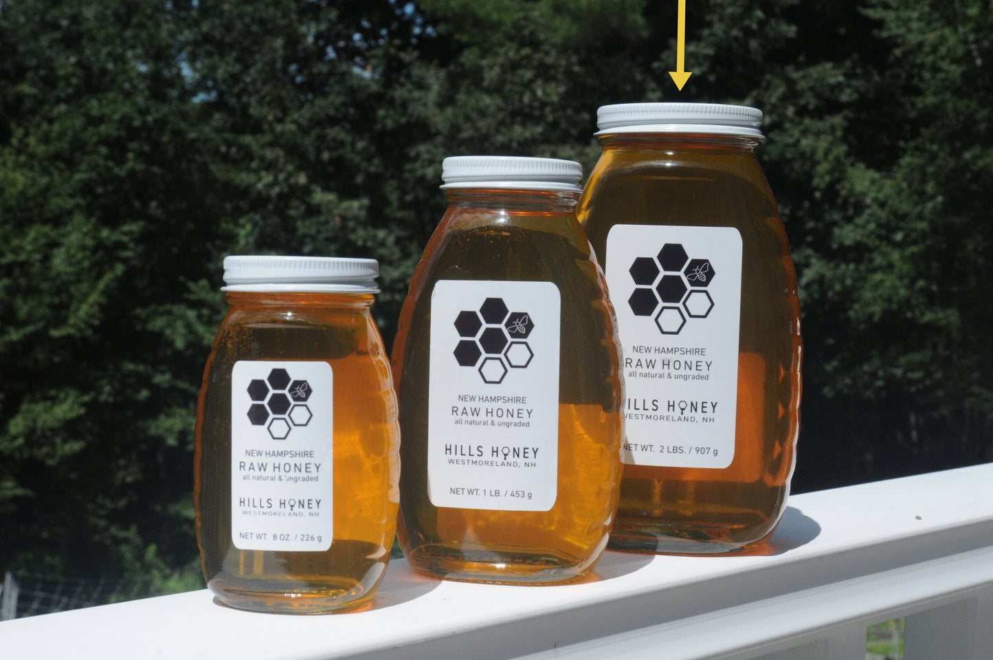 Two Pound (32oz) Raw Honey - Glass Jar