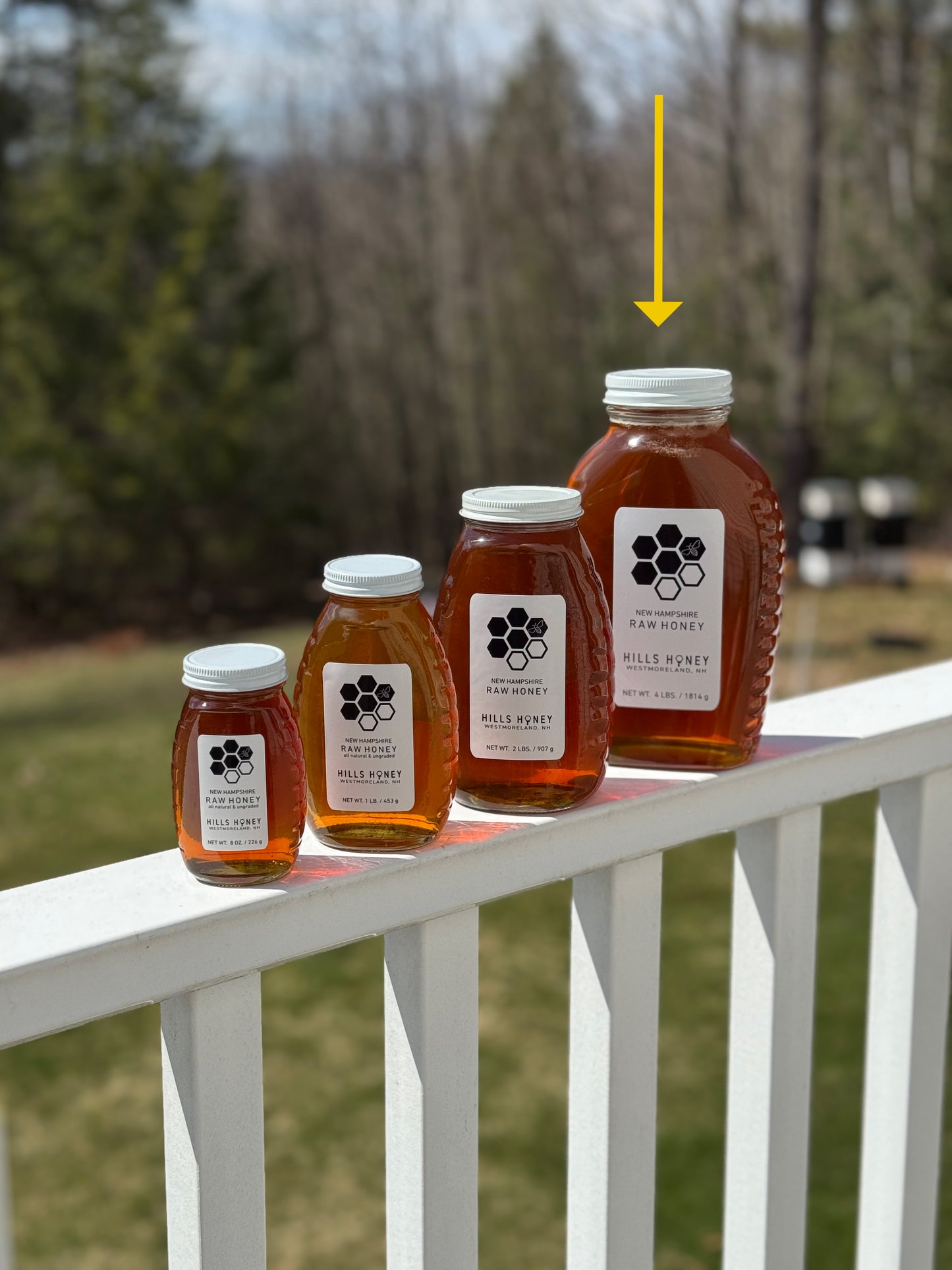Hills Honey sizes of honey in glass jars