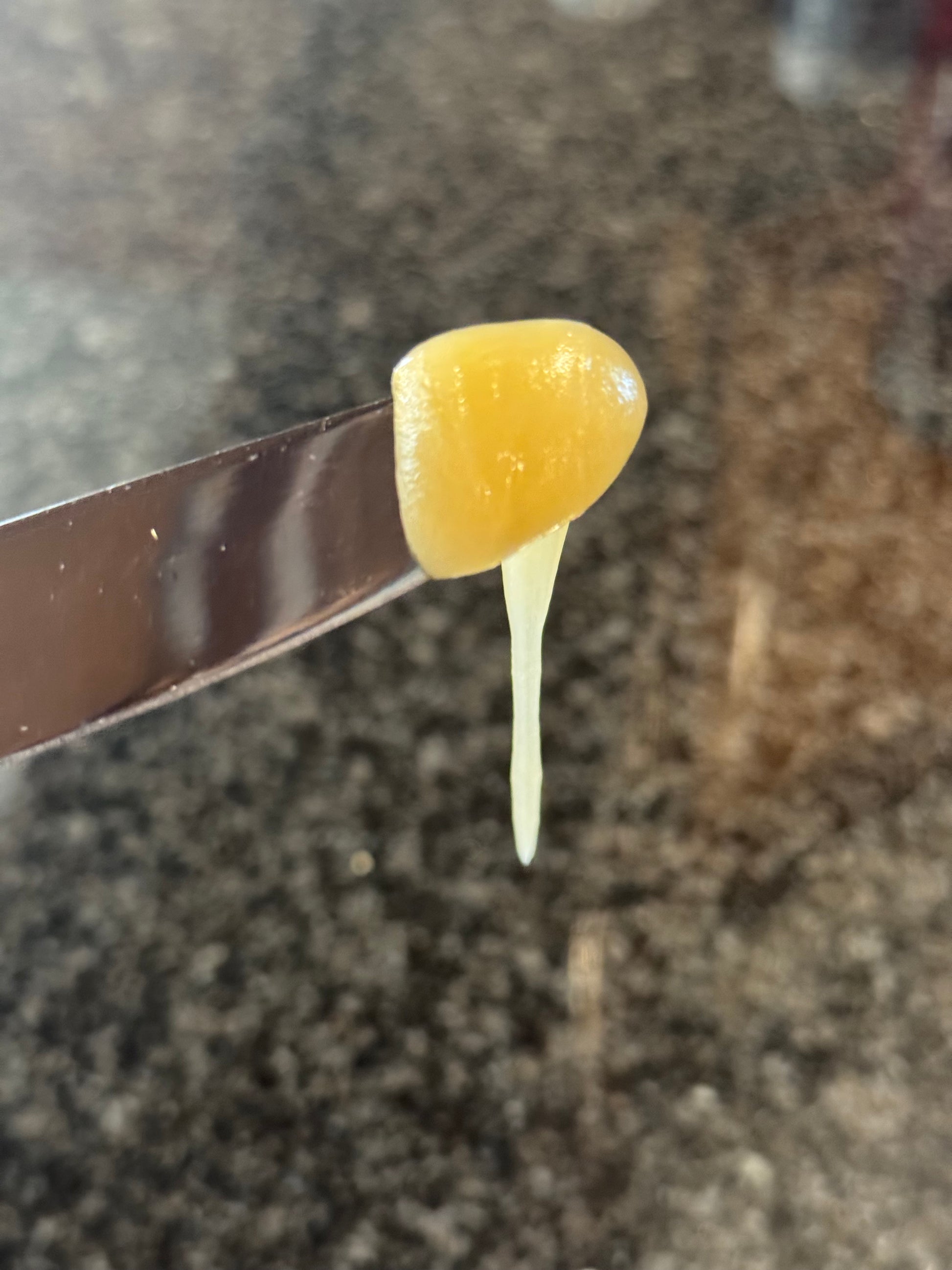 Delicious bit of creamed honey showing creamy texture